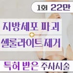 셀룰리스주사. 허벅지.복부.등.팔 지방분해주사 지방성형