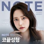 노트 코끝성형