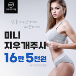 미니지우개주사