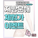플래티넘클리닉 지방분해주사 체험 이벤트